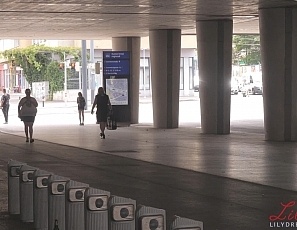 lily/videos/Ddd7A-3FMqh6IIBhGEijLdgoSCx4YiY3