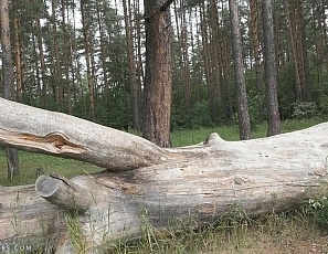 lily/videos/moLqr4gO3gVa70o6aISxHRKahw1jjnB2