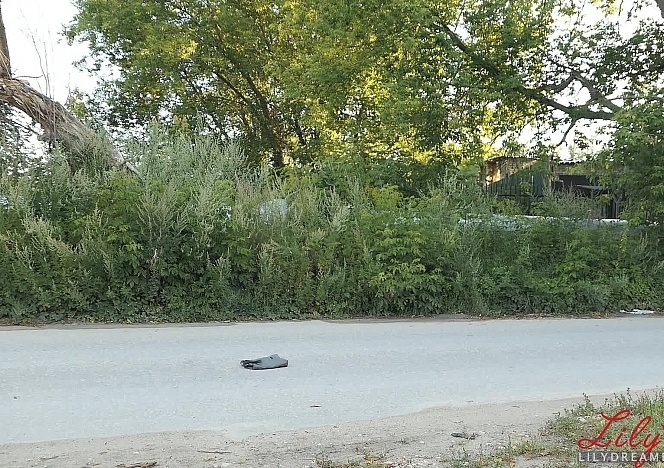 lily2/videos/W5-2XWNHFVQ5vAqdch5RcuwFPGPBFOGA