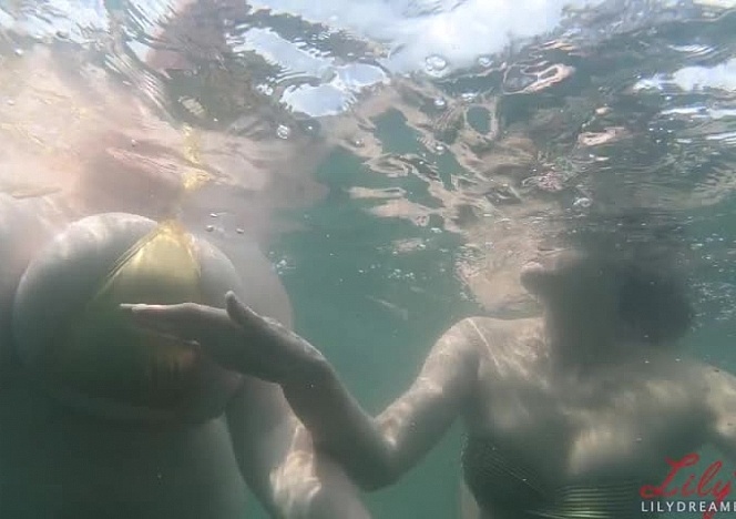 lily2/videos/c5nqtFk29GxpbLWvw6ENIHlE0mttqgeo